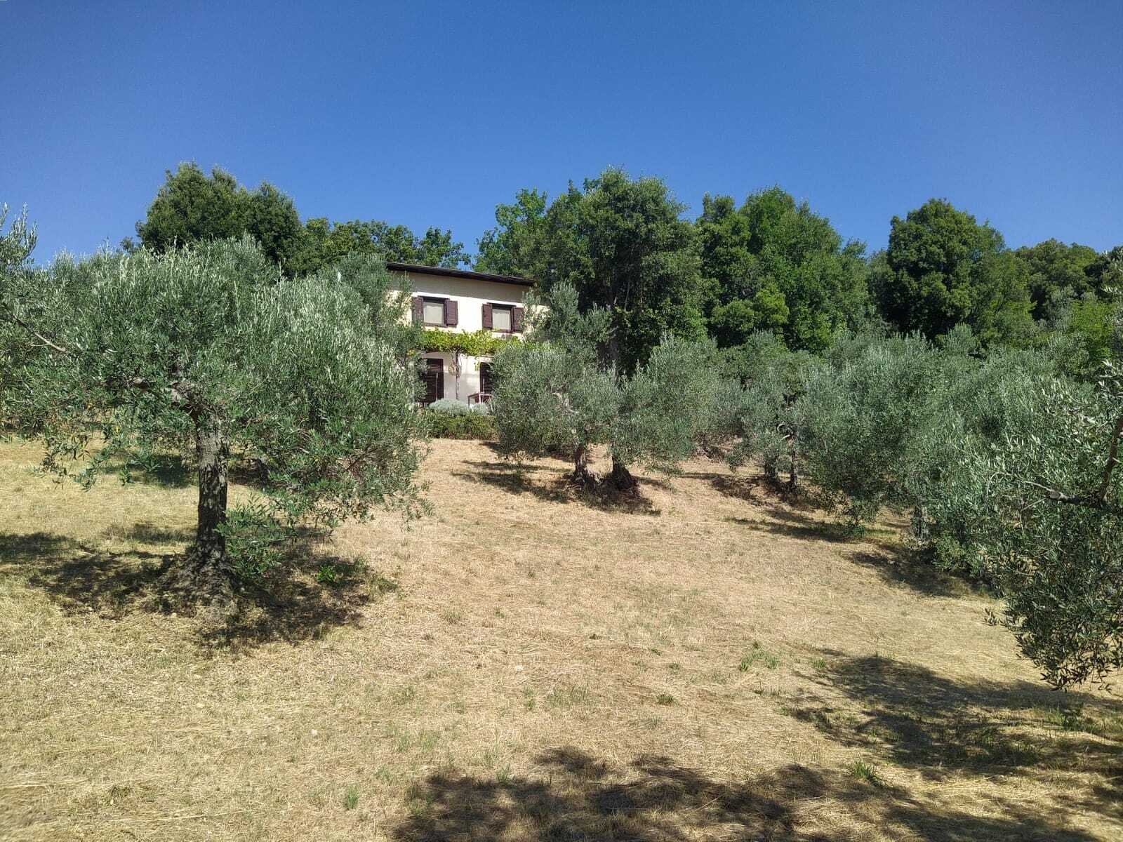 Sassofortino: Small cottage in the countryside – your peaceful retreat in the Maremma 
