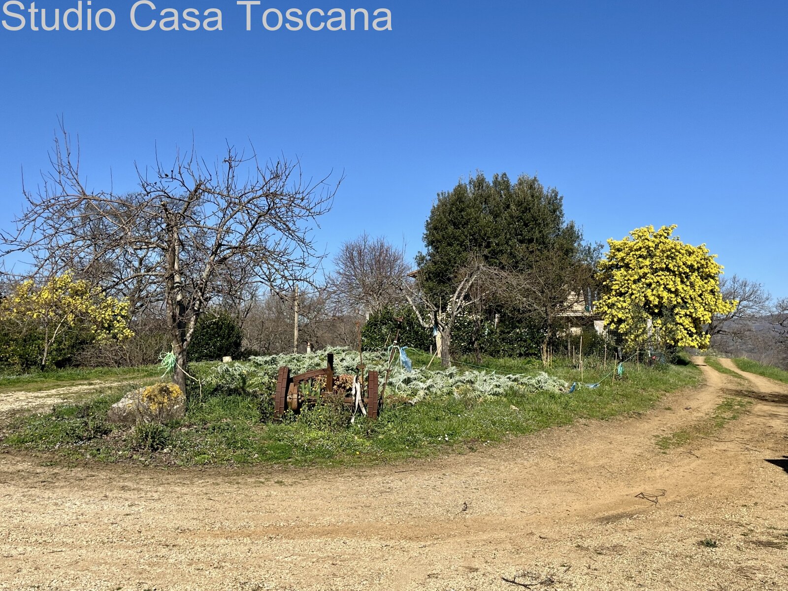 Landwirtschaftliches Anwesen mit 44 Hektar bei Saturnia