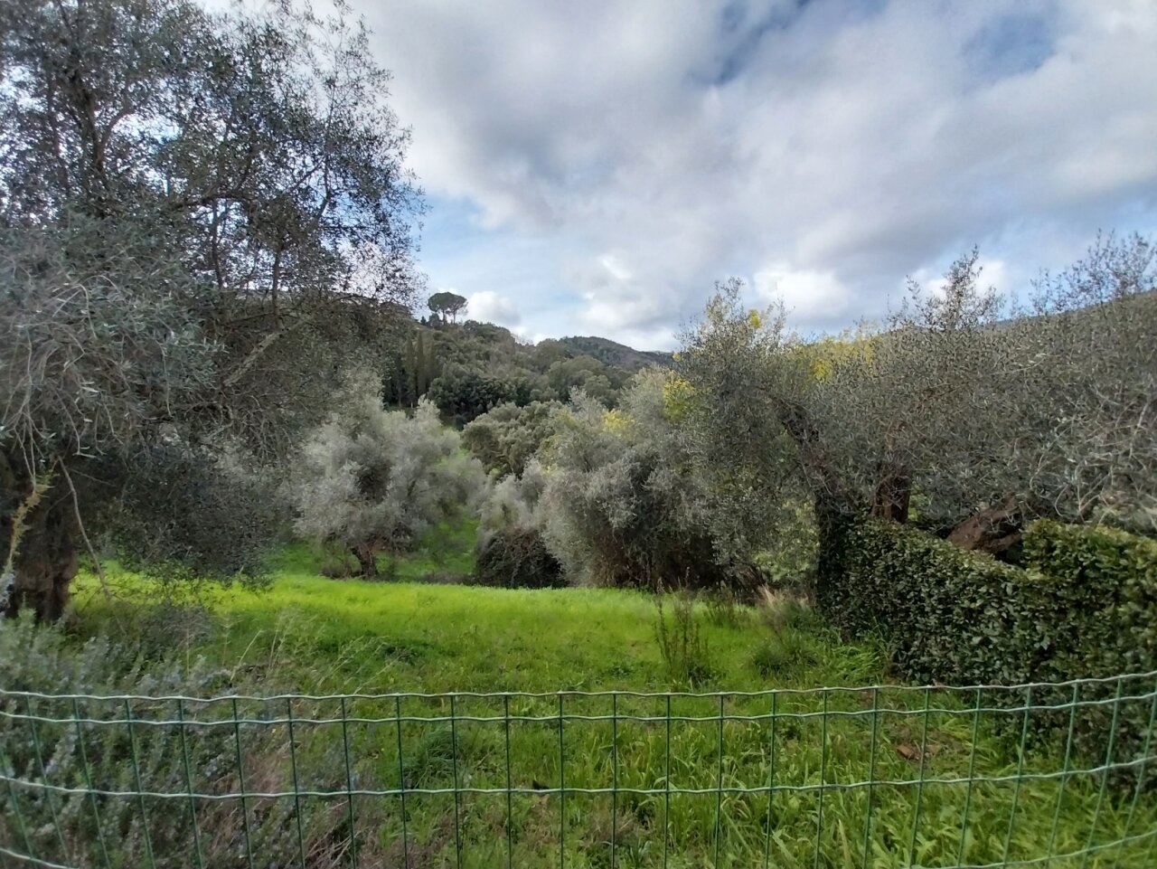Panorama terazzino, possibile giardino.jpg