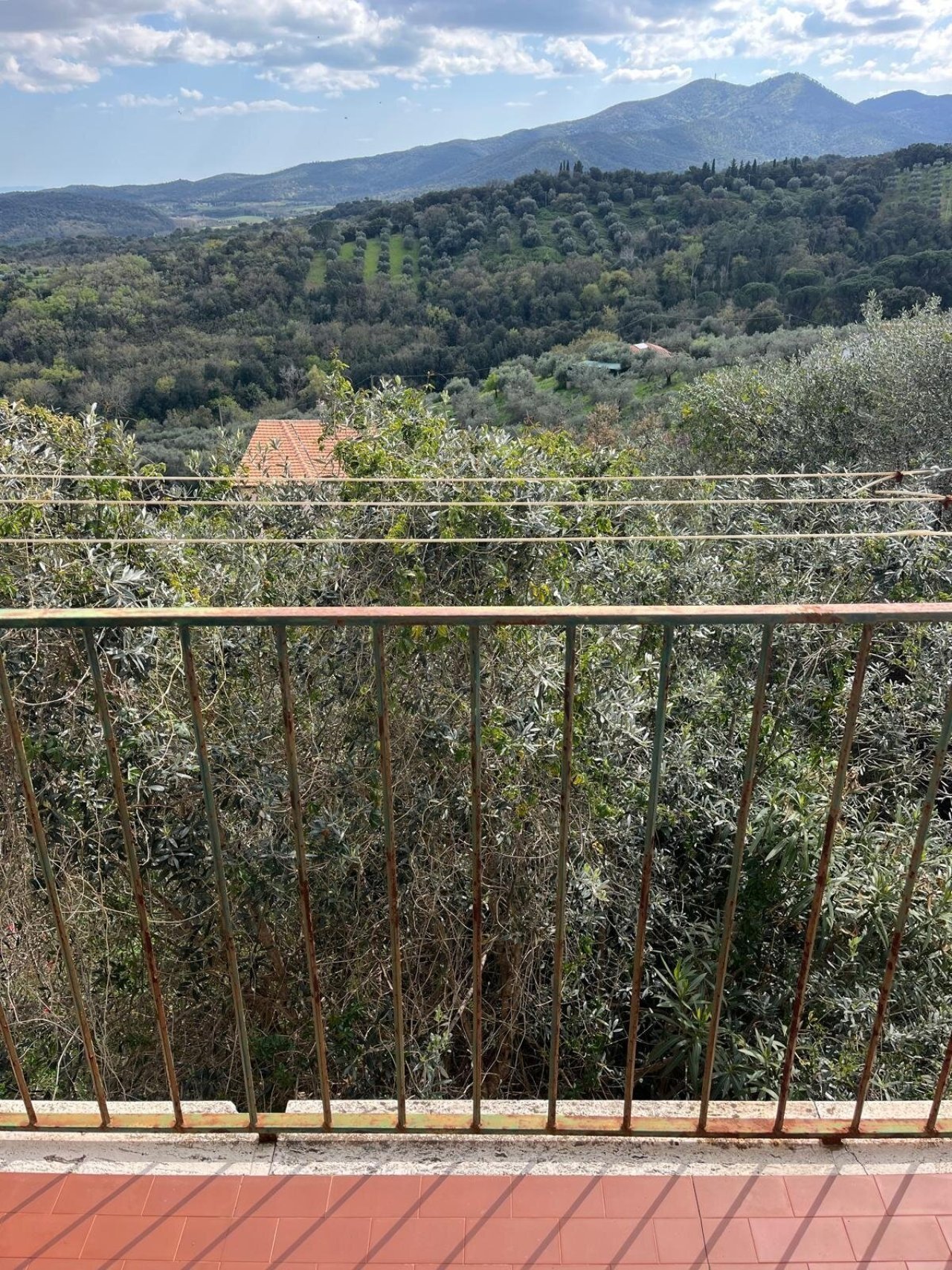 Panorama dal balcone.jpeg