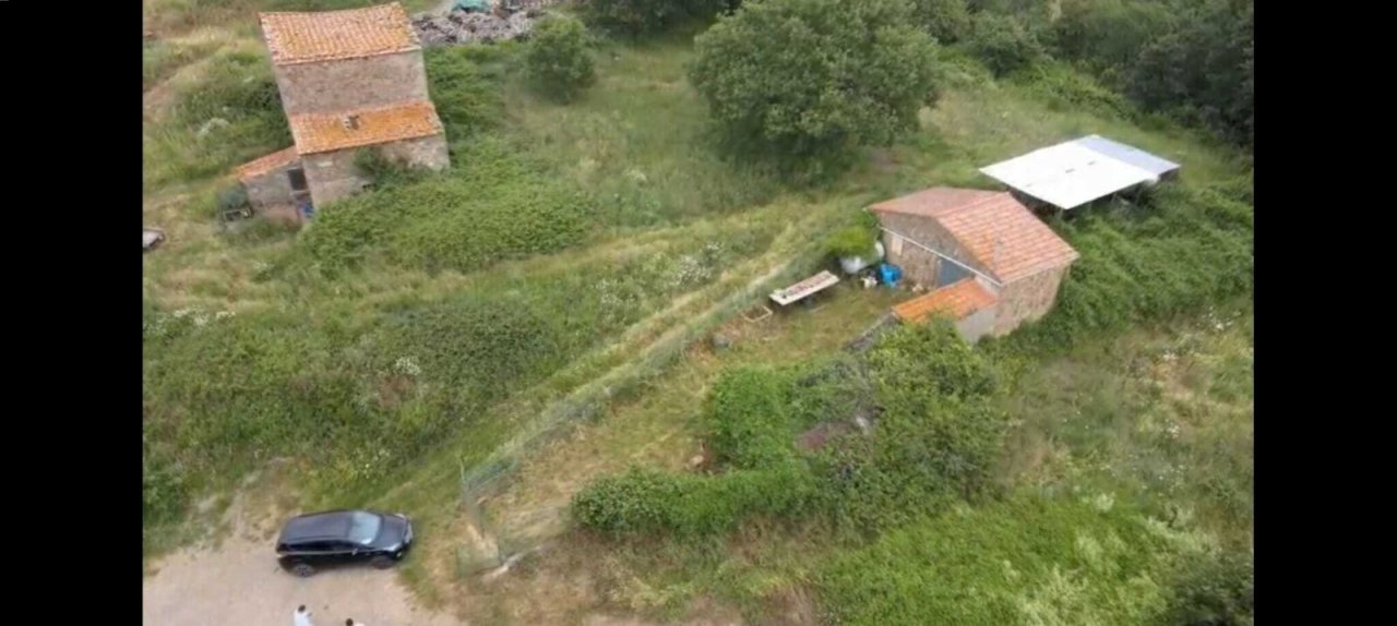 d333cd79-6f72-4ab5-8040-5480aef0f0d5