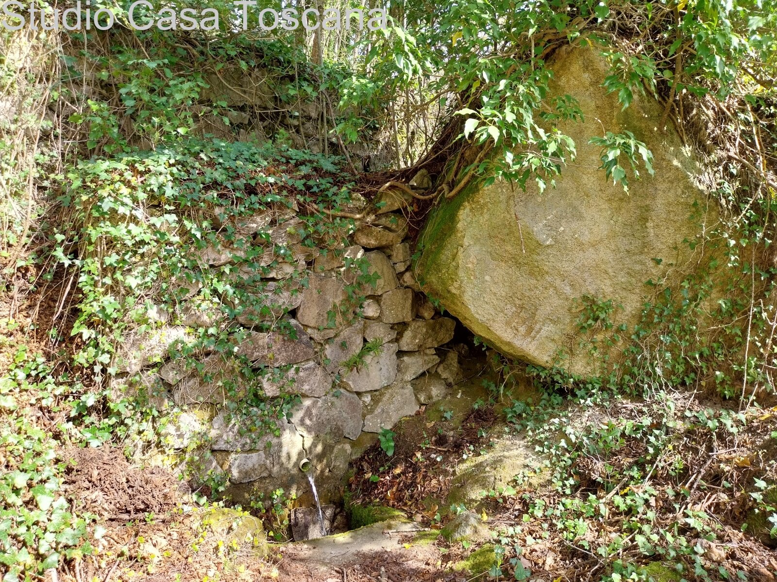 Authentisches Wohnen am Kastanienpark von Sassofortino