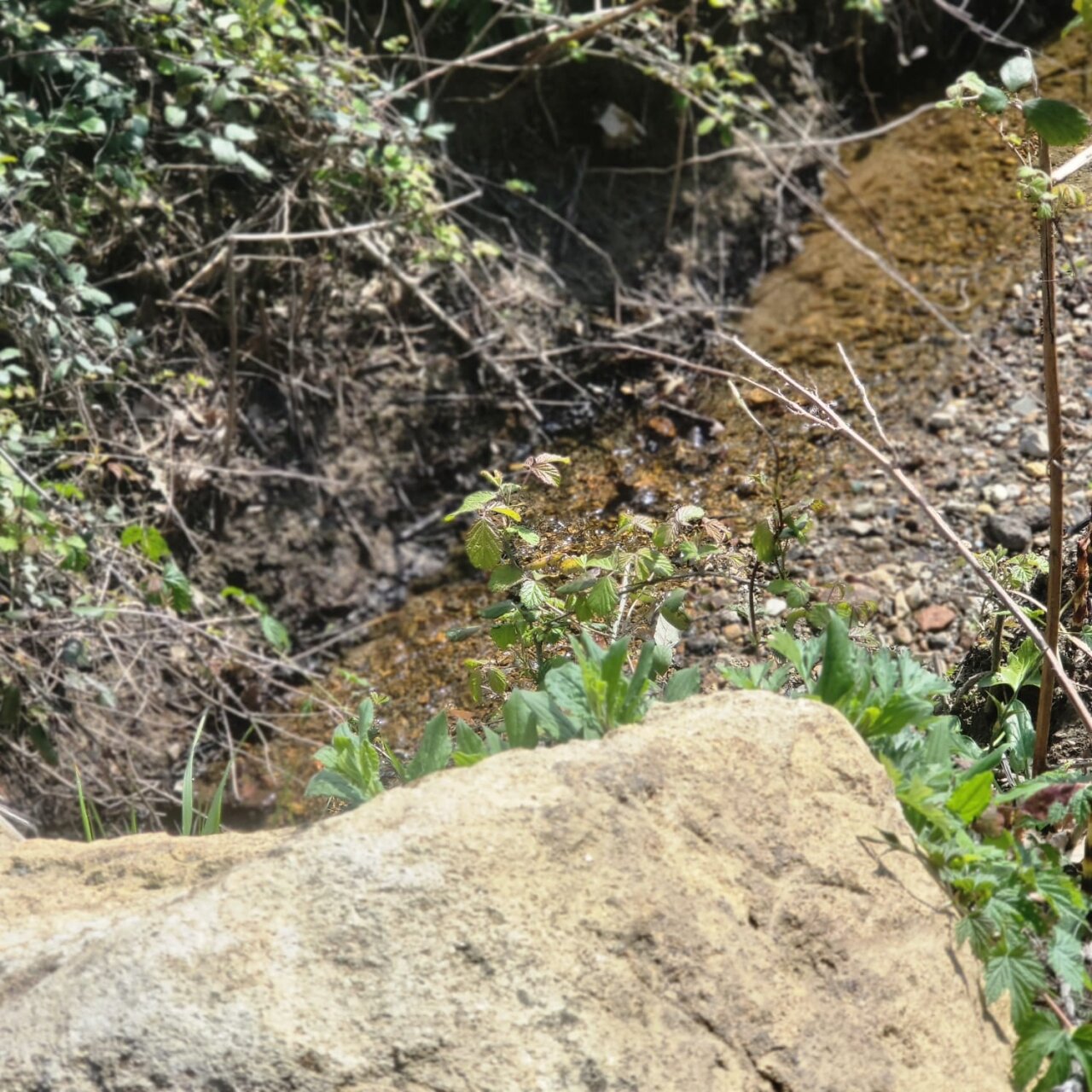 Bebaubares Grundstück mit traumhaftem Blick über die Maremma bis hin zum Meer 