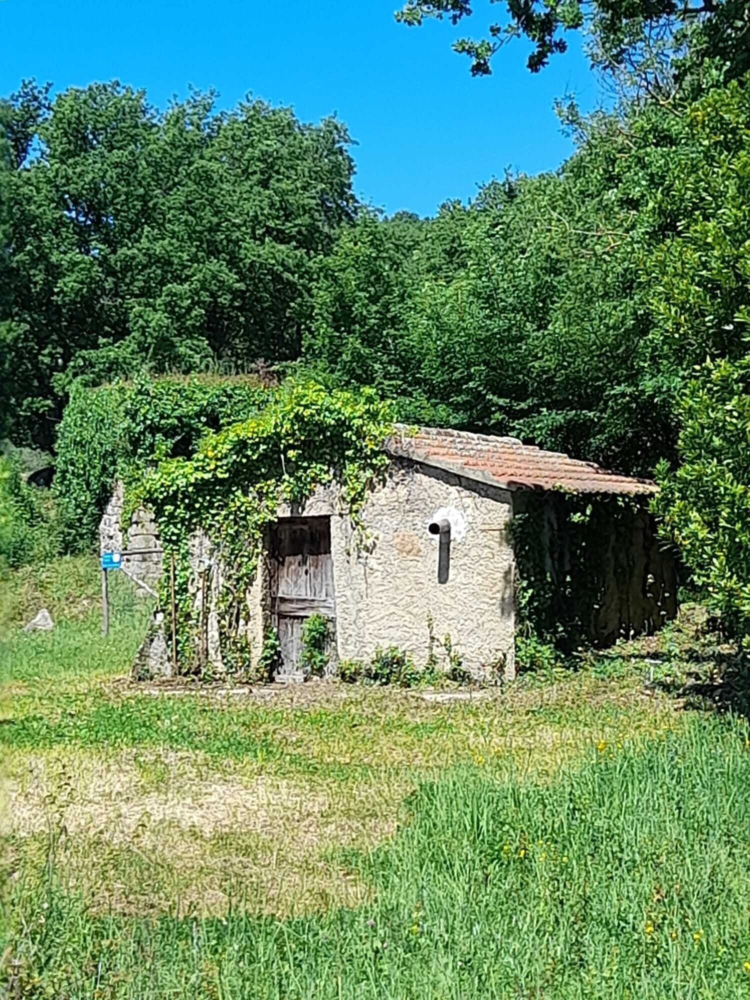 Bebaubares Grundstück mit traumhaftem Blick über die Maremma bis hin zum Meer 