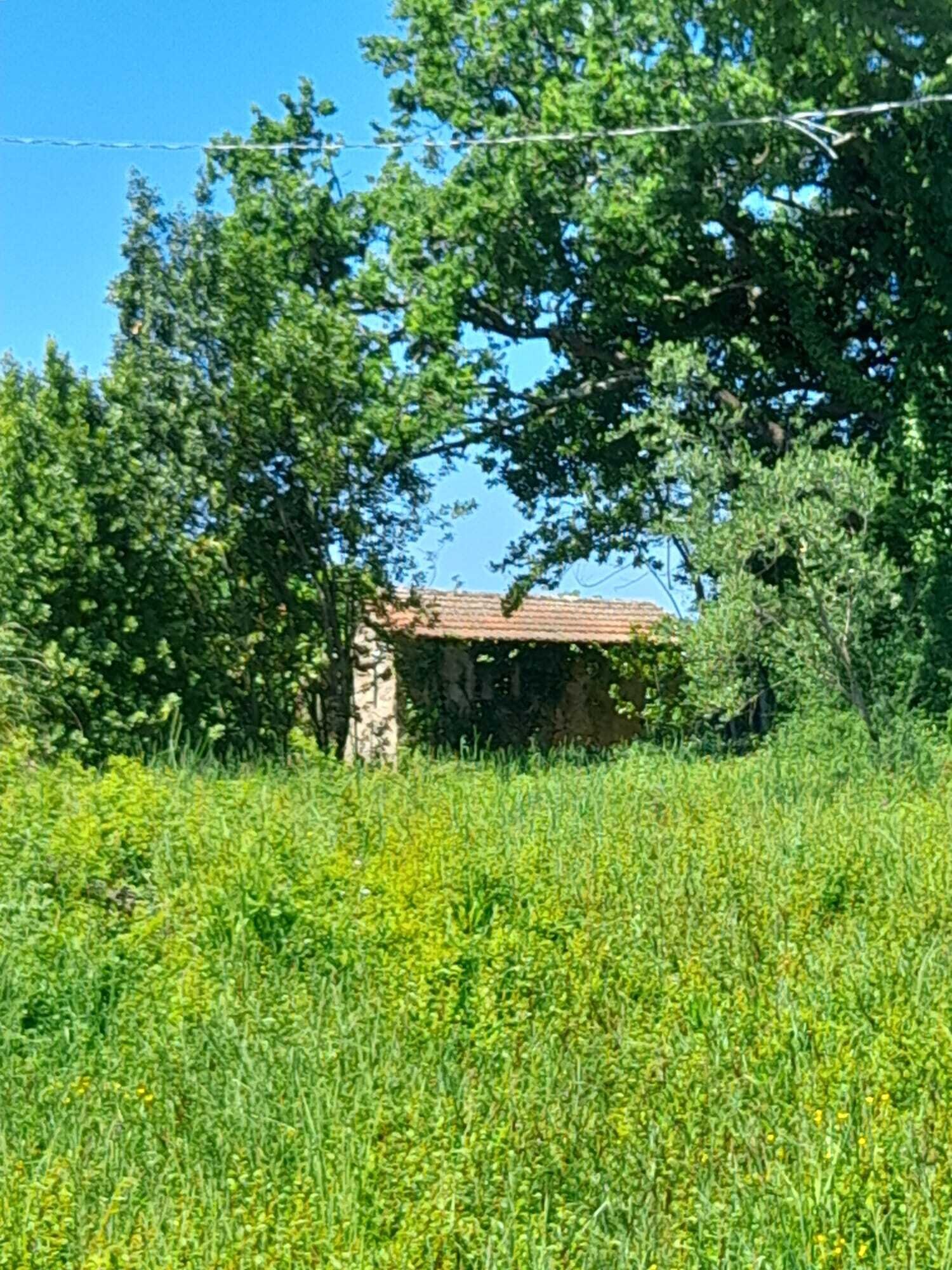 Bebaubares Grundstück mit traumhaftem Blick über die Maremma bis hin zum Meer 