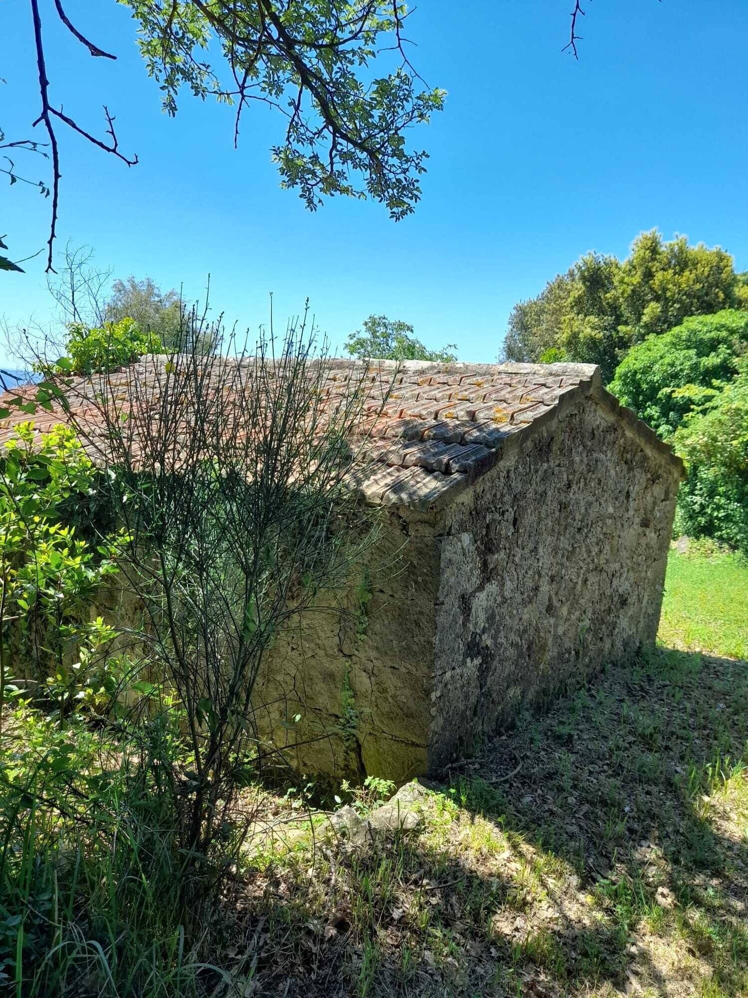 Bebaubares Grundstück mit traumhaftem Blick über die Maremma bis hin zum Meer 