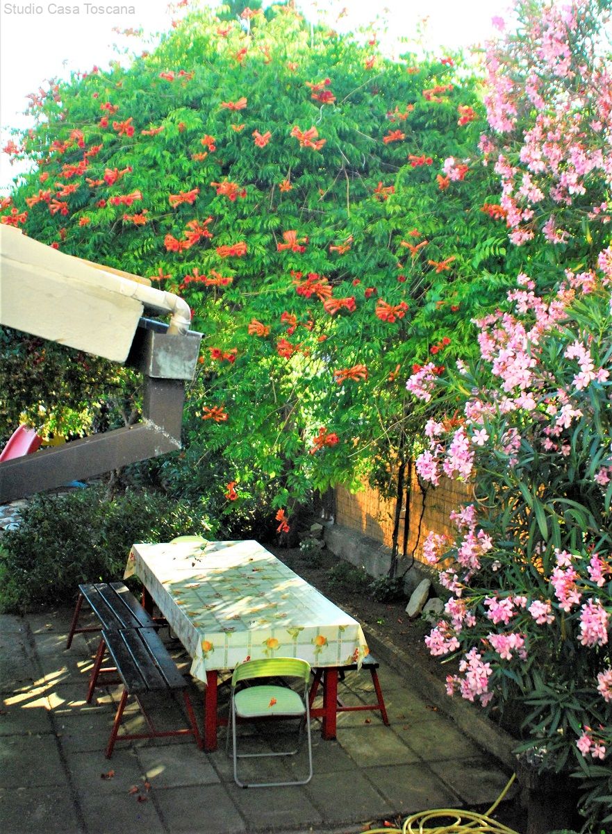13 Pergolato retro.JPG 13 Pergolato retro.JPG