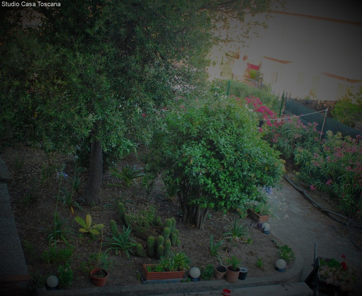 9 Angolo giardino.JPG 9 Angolo giardino.JPG