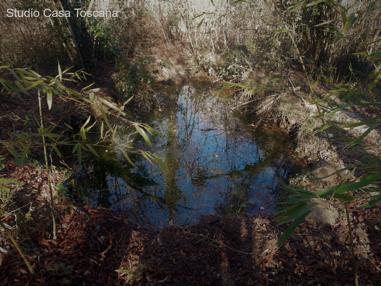 Sorgente naturale.jpg