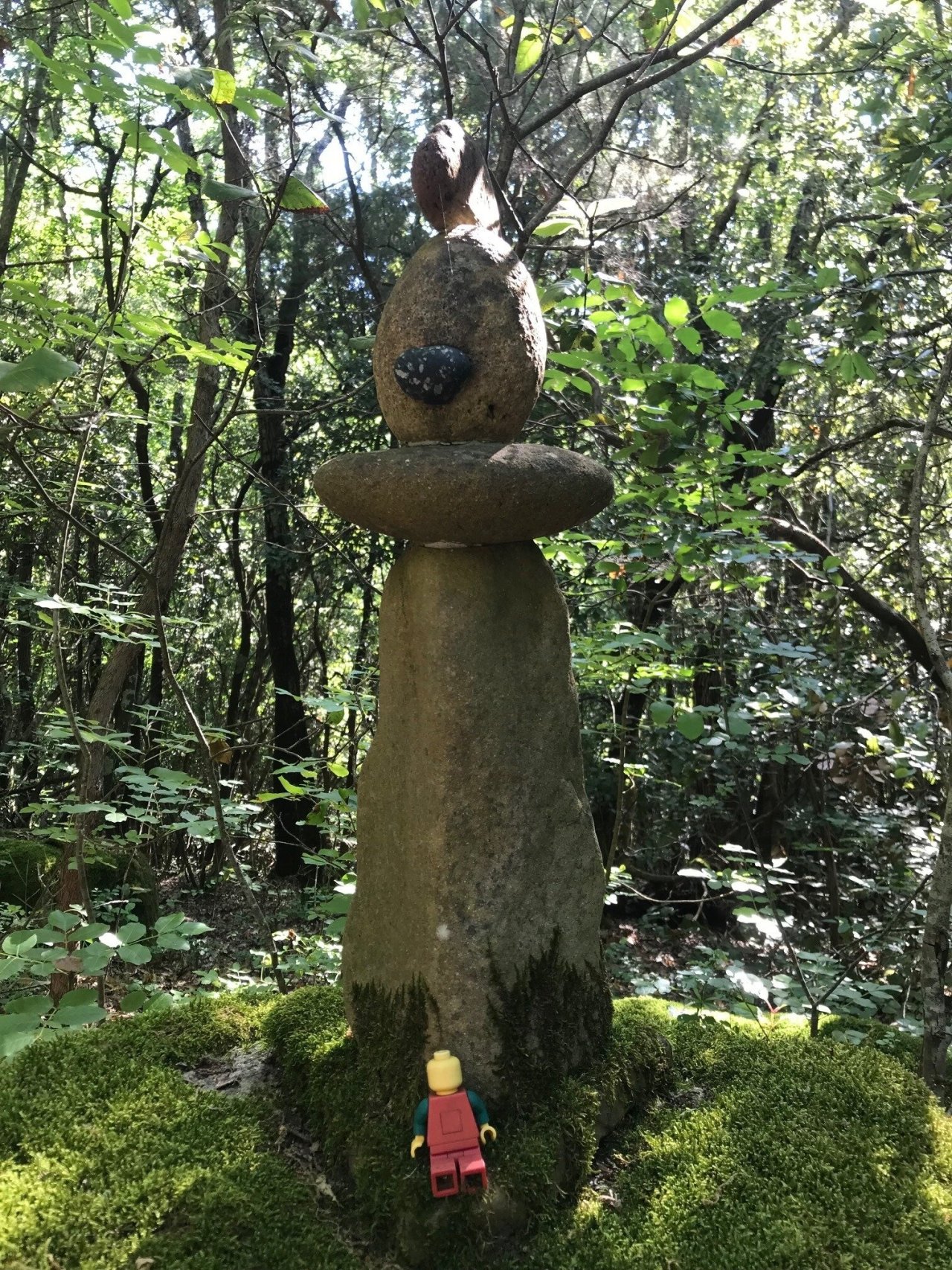 489863524 3982894195325487 8501459881036966029 n.jpg