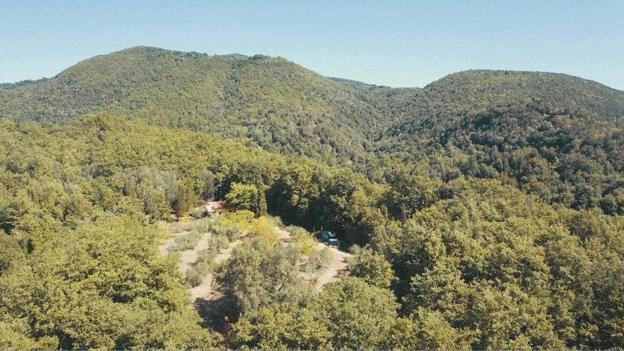 491847969 3998002663814640 8672794916989092029 n.jpg