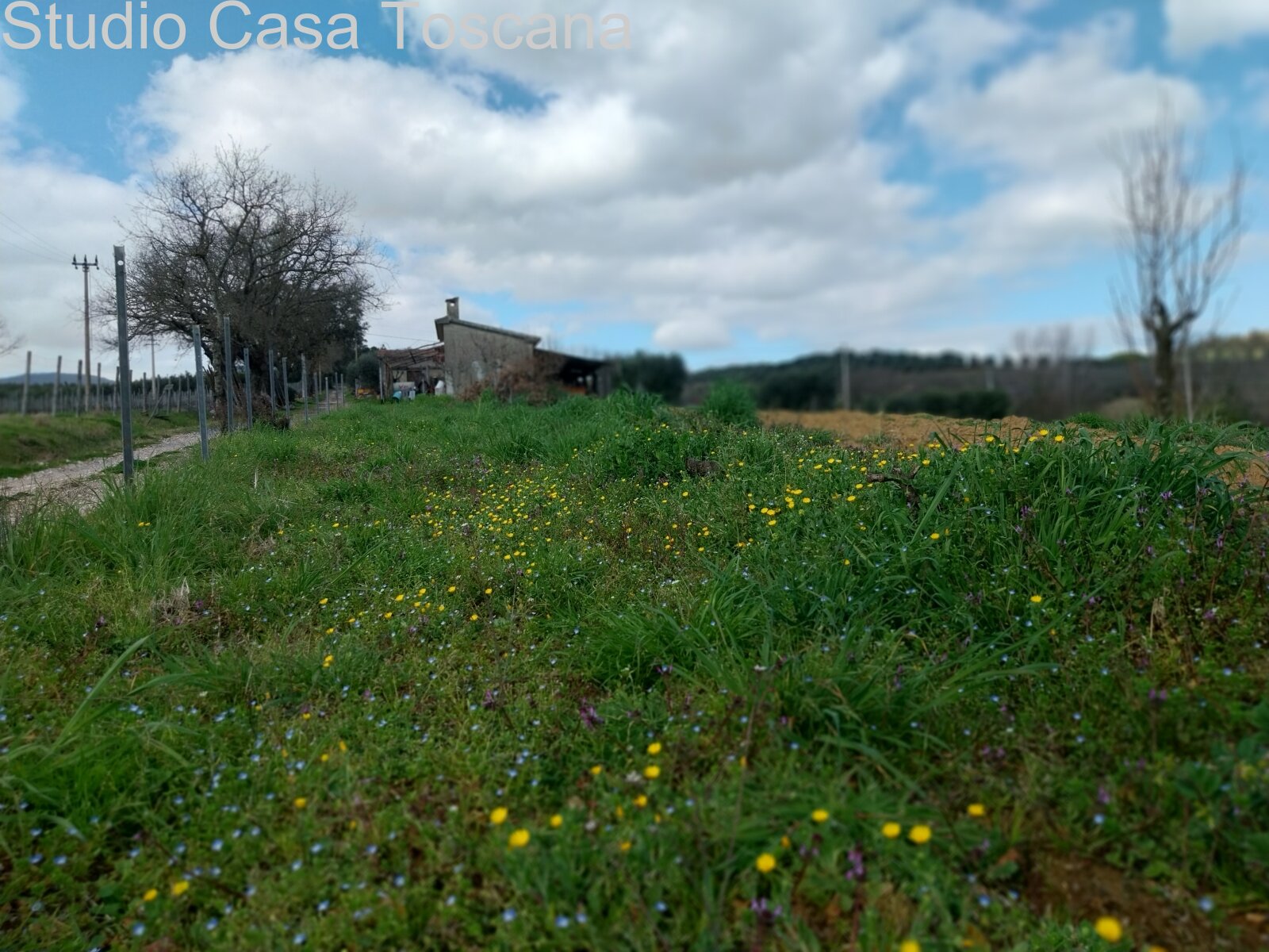 Land und Nutzgebäude in der Gemeinde Gavorrano 18 km vom Meer