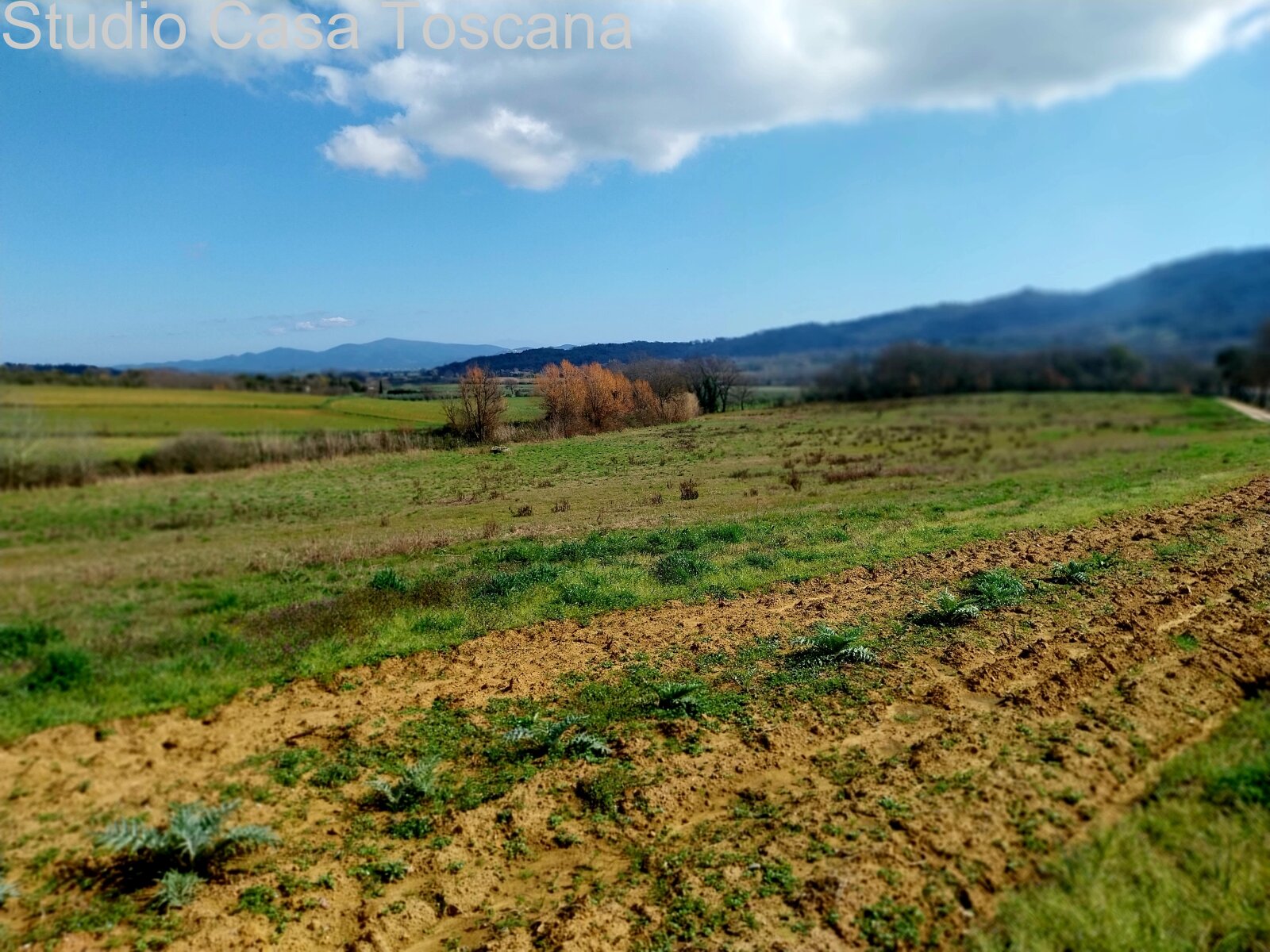 Land und Nutzgebäude in der Gemeinde Gavorrano 18 km vom Meer