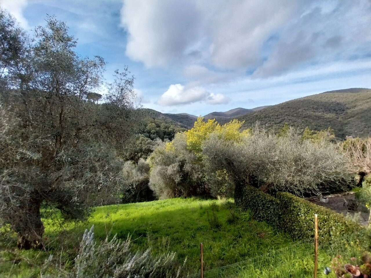 Panorama lato interno 2.jpg