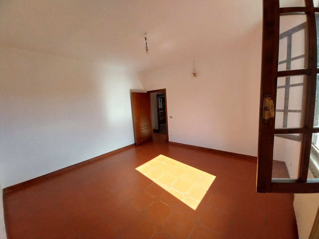 20240313 141950.jpg 20240313 141950.jpg