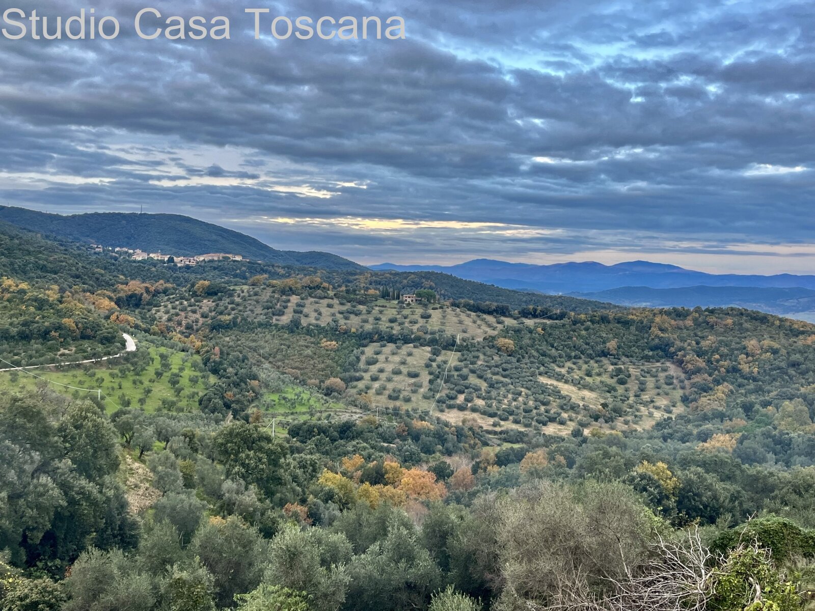 Caldana: Un appartamento comodo e tranquillo affacciato sul verde 