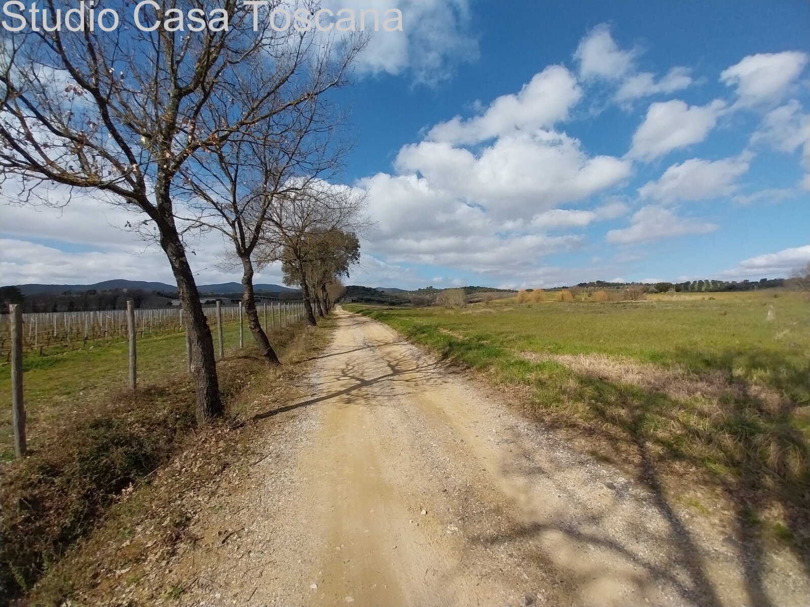 Terreni e annessi agricoli in vendita in Comune di Gavorrano a 18 km dal mare