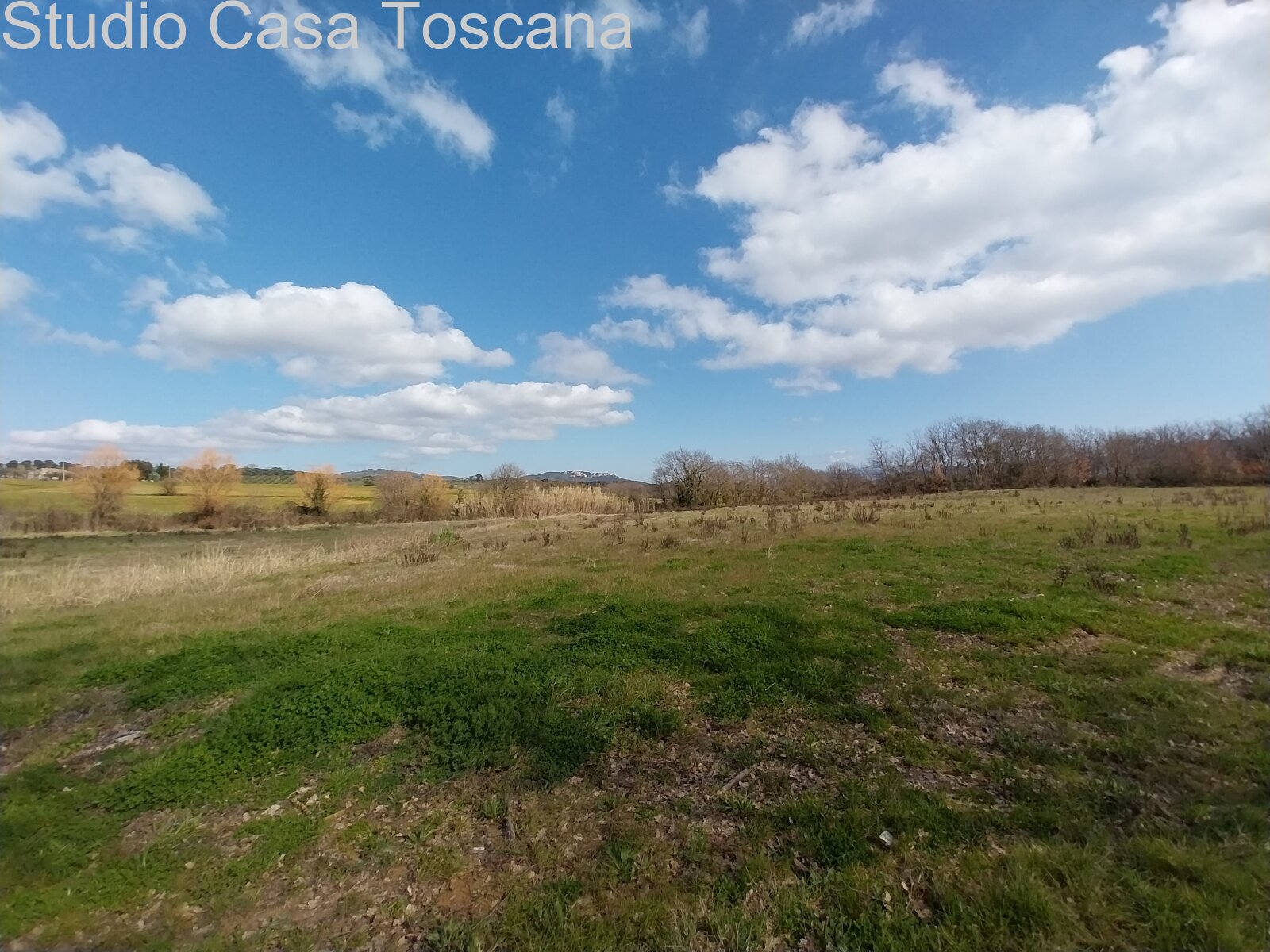 Terreni e annessi agricoli in vendita in Comune di Gavorrano a 18 km dal mare