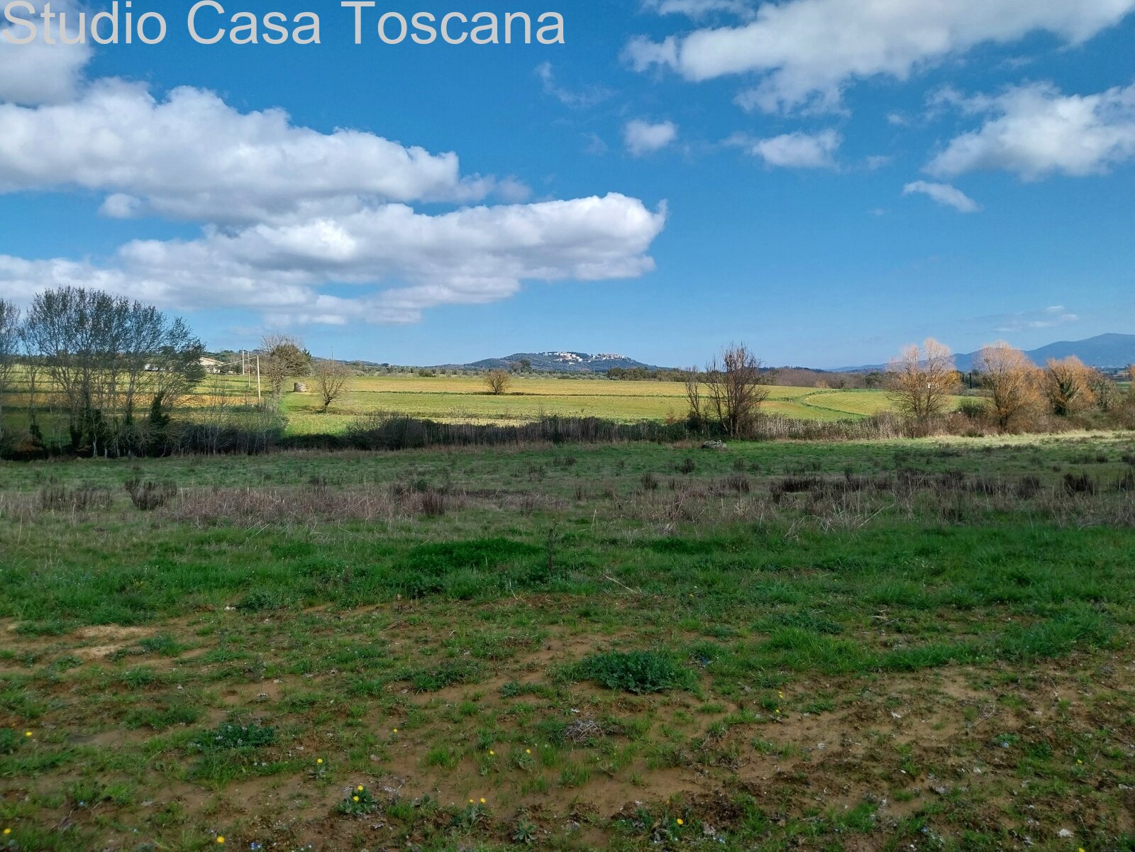 Terreni e annessi agricoli in vendita in Comune di Gavorrano a 18 km dal mare