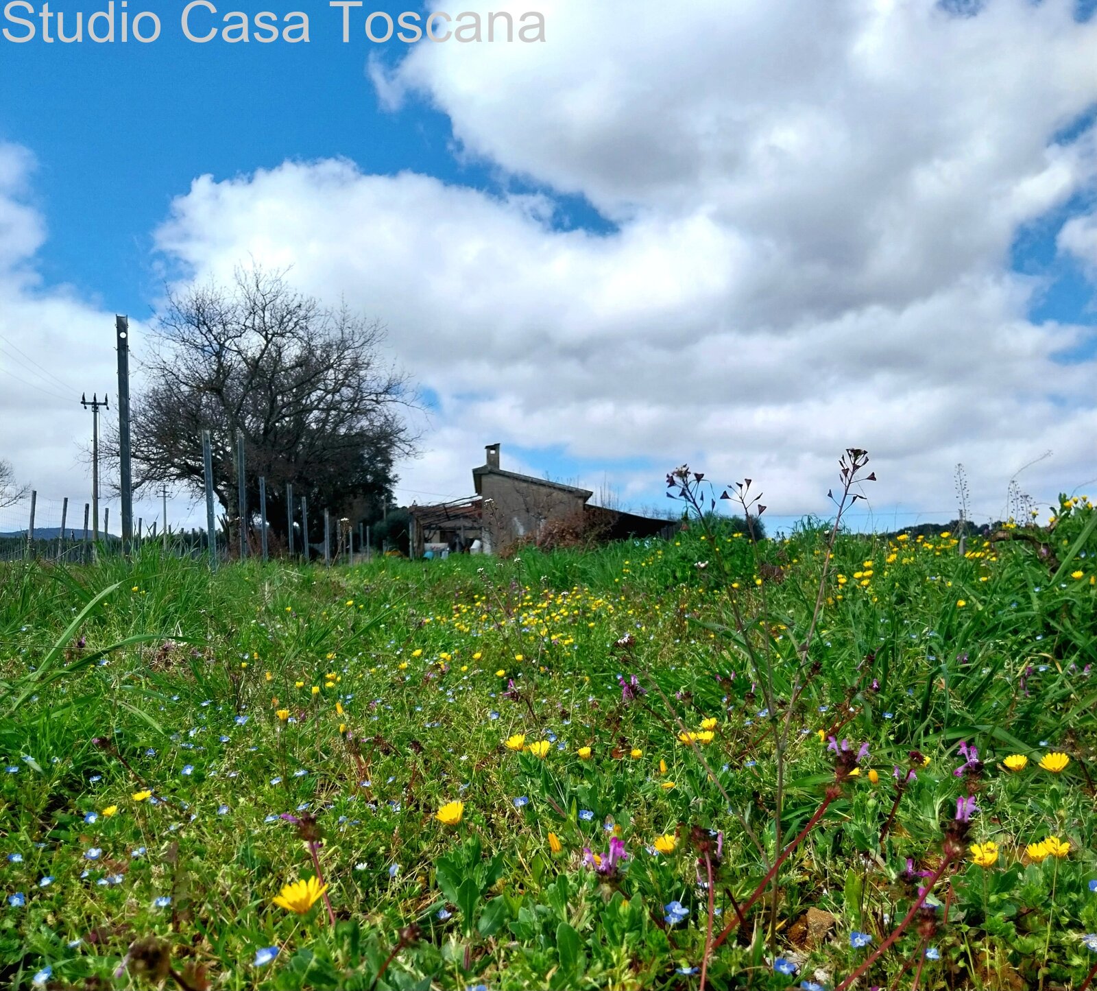 Terreni e annessi agricoli in vendita in Comune di Gavorrano a 18 km dal mare