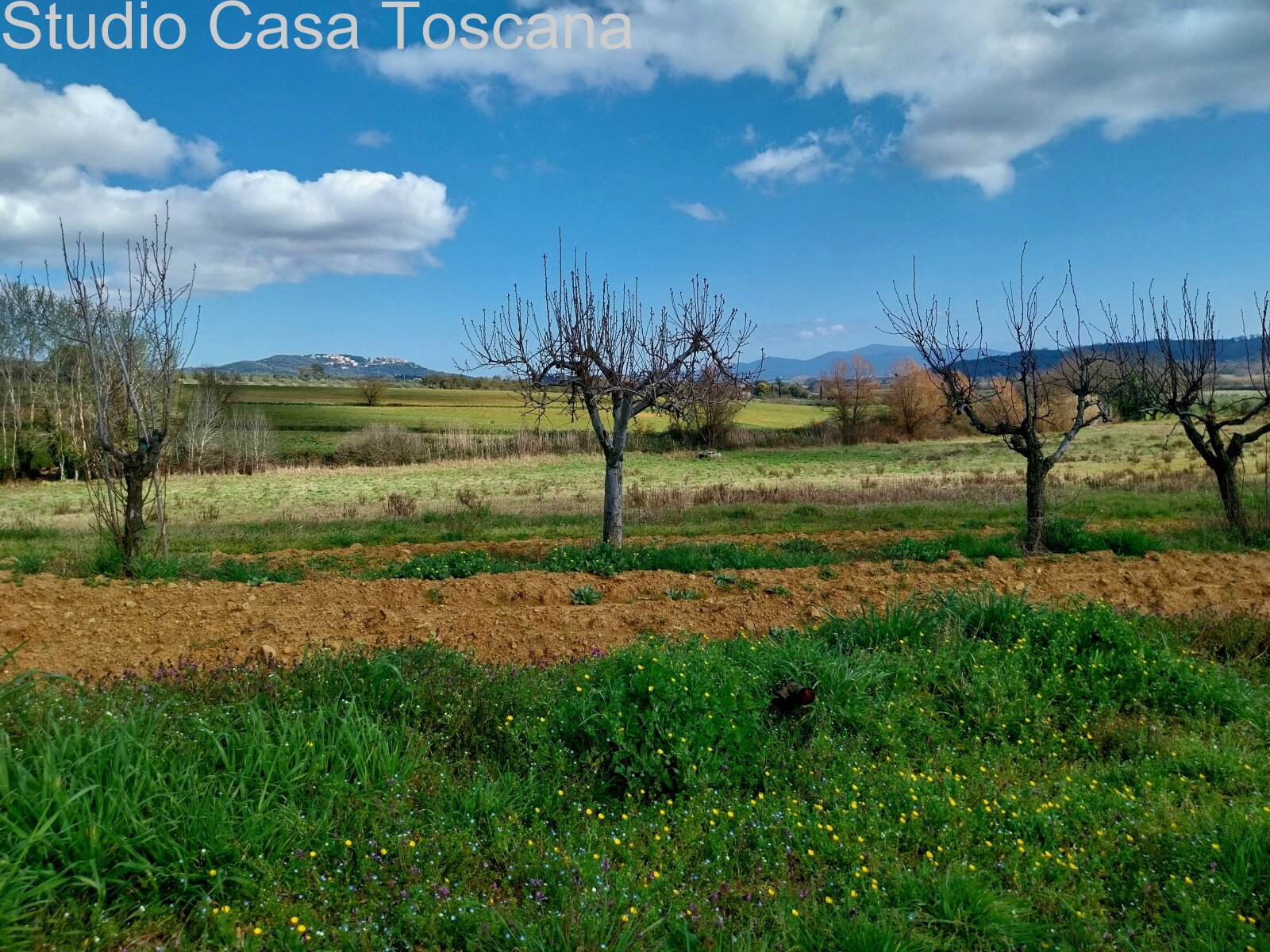 Terreni e annessi agricoli in vendita in Comune di Gavorrano a 18 km dal mare