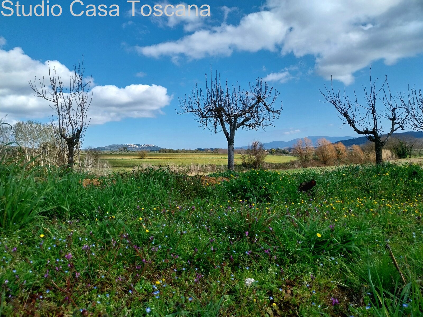 Terreni e annessi agricoli in vendita in Comune di Gavorrano a 18 km dal mare
