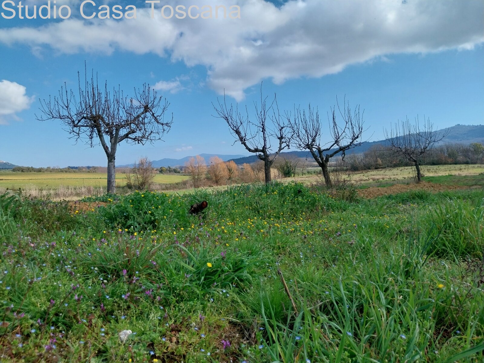 Terreni e annessi agricoli in vendita in Comune di Gavorrano a 18 km dal mare