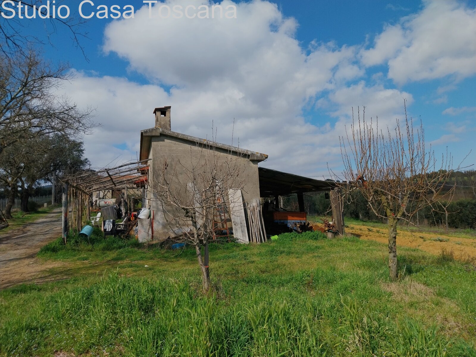 Terreni e annessi agricoli in vendita in Comune di Gavorrano a 18 km dal mare
