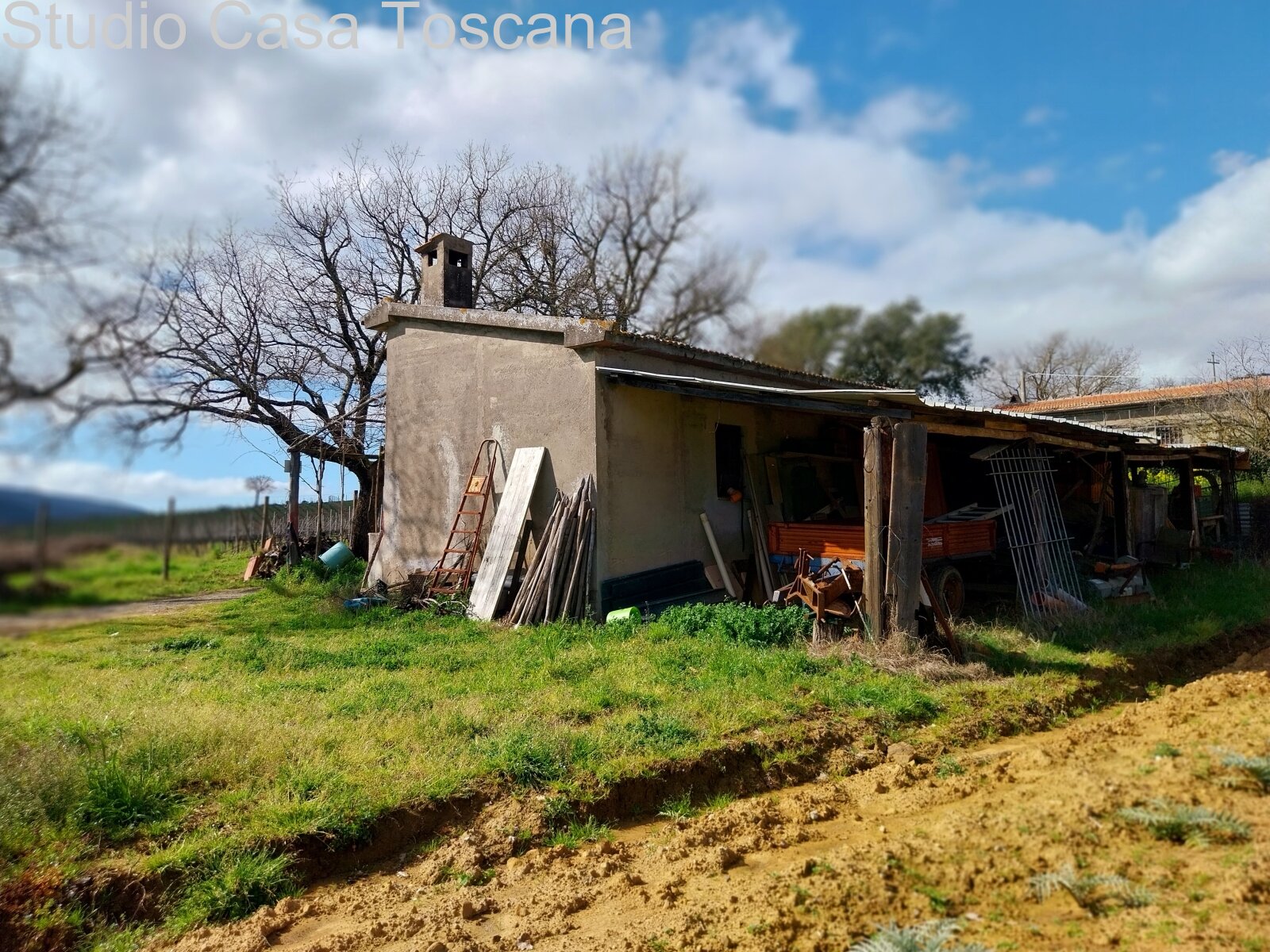 Terreni e annessi agricoli in vendita in Comune di Gavorrano a 18 km dal mare