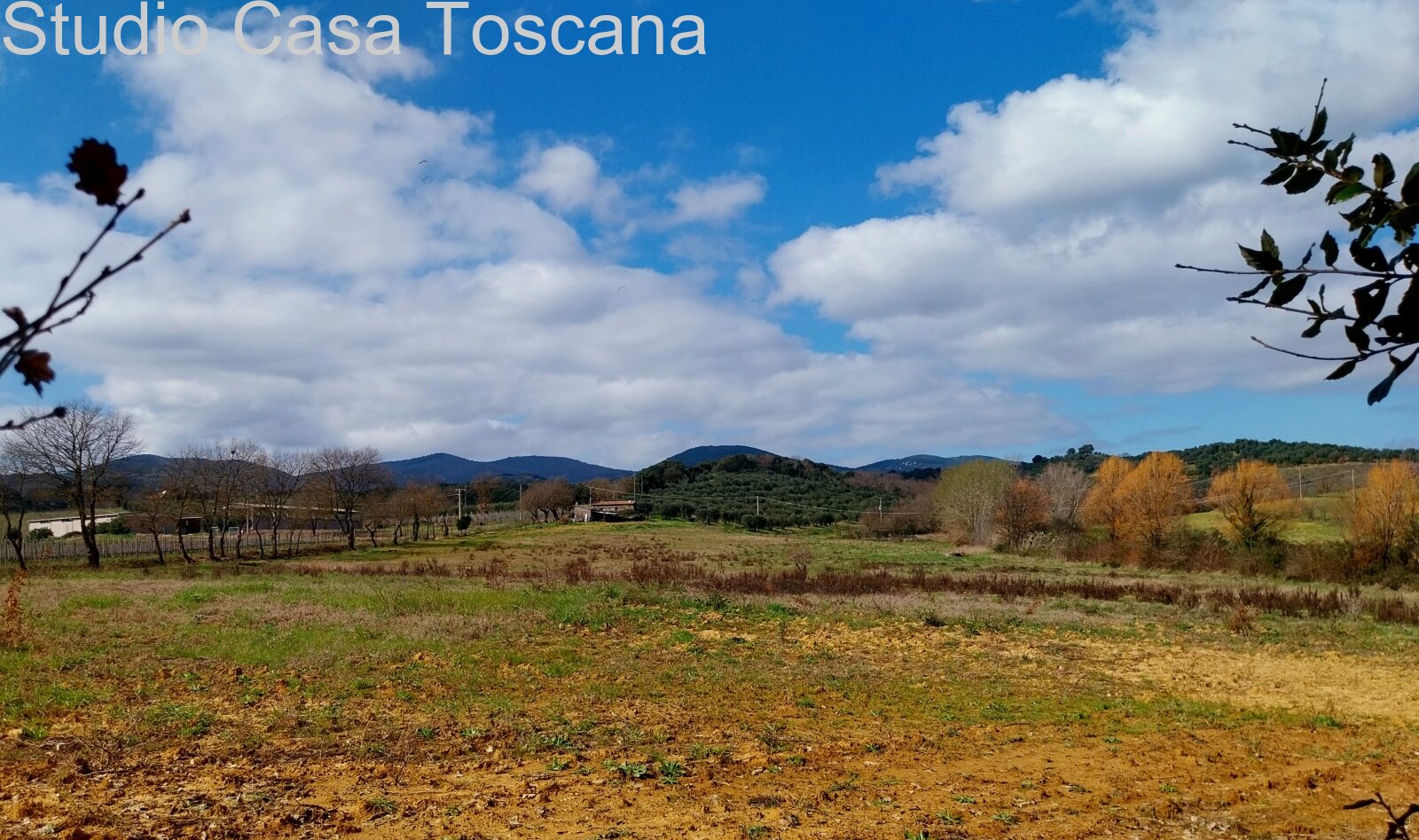 Terreni e annessi agricoli in vendita in Comune di Gavorrano a 18 km dal mare