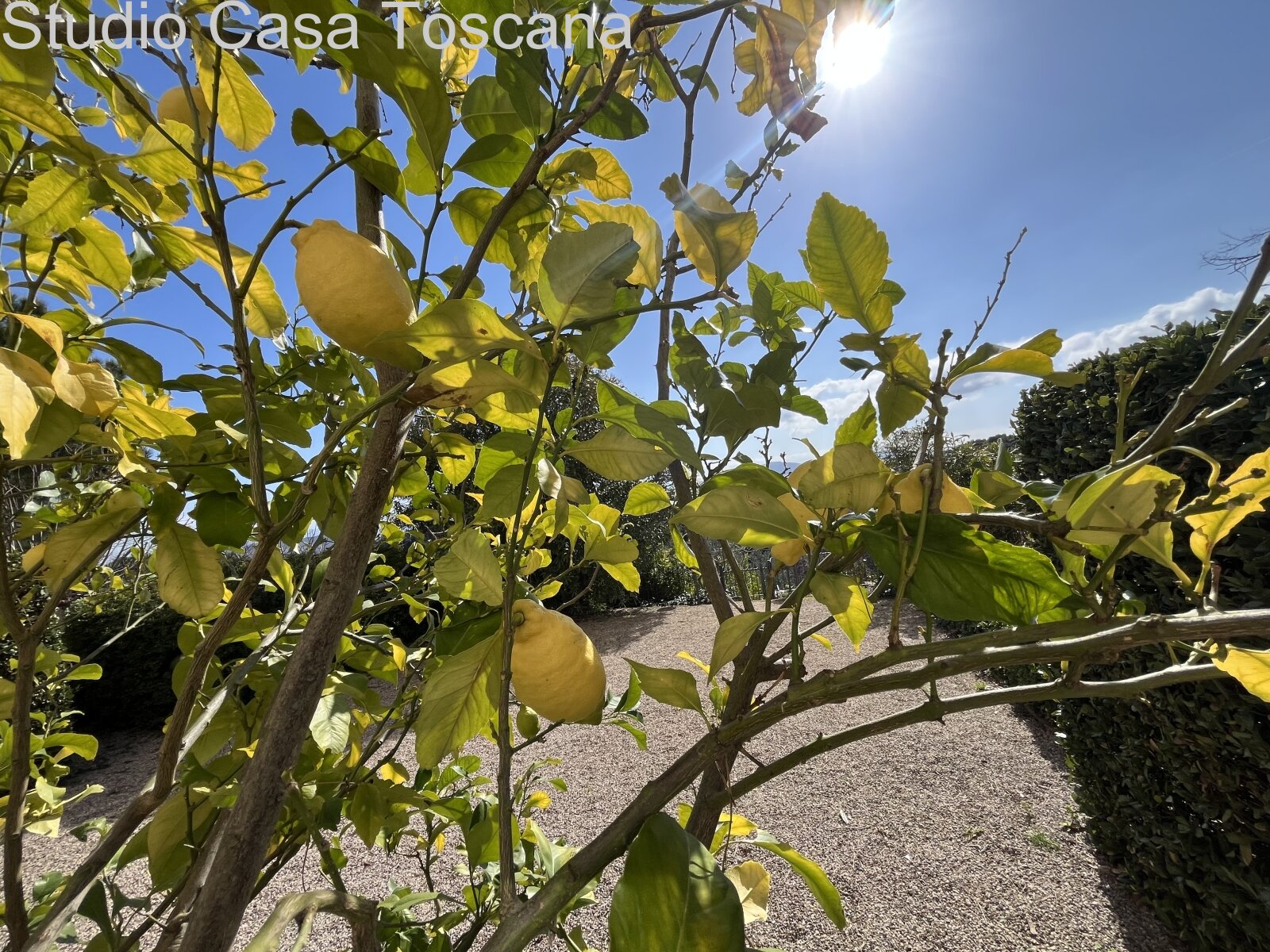 Elegante appartamento con giardino e loggia panoramica nel centro storico di Ravi