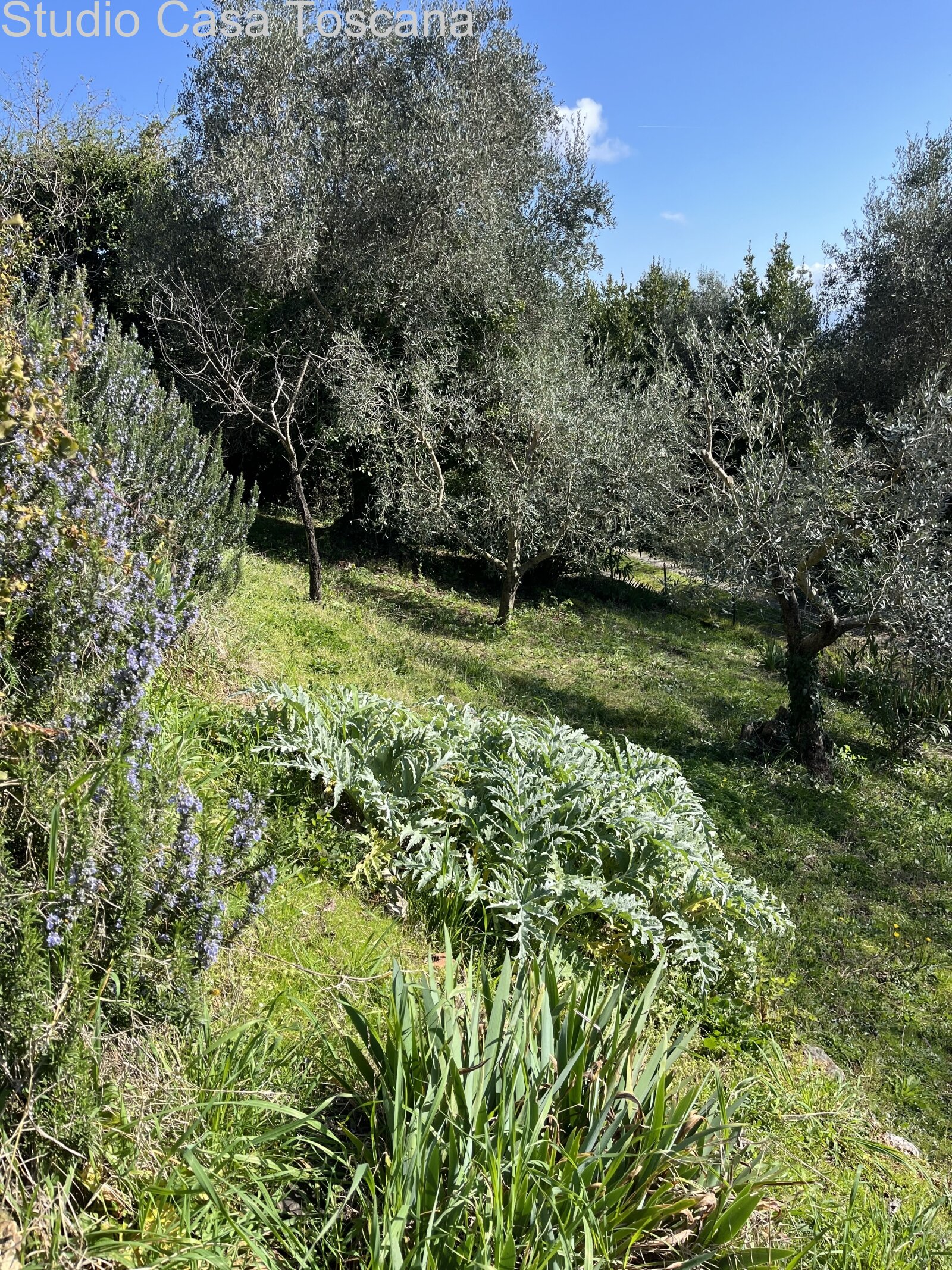 Elegante appartamento con giardino e loggia panoramica nel centro storico di Ravi