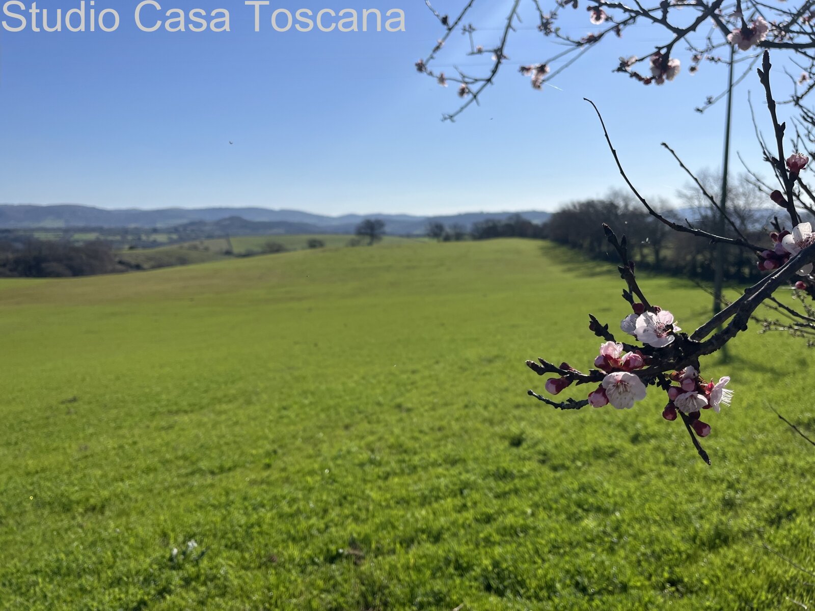 Grande azienda agricola in mezzo alla natura incontaminata 