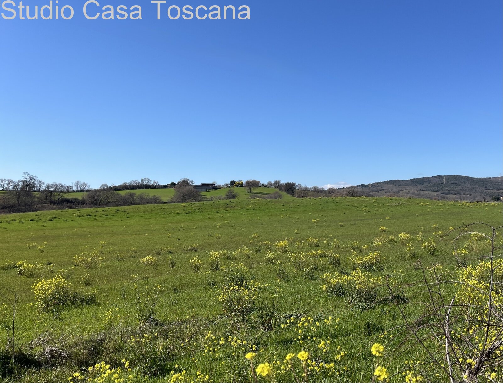 Grande azienda agricola in mezzo alla natura incontaminata 