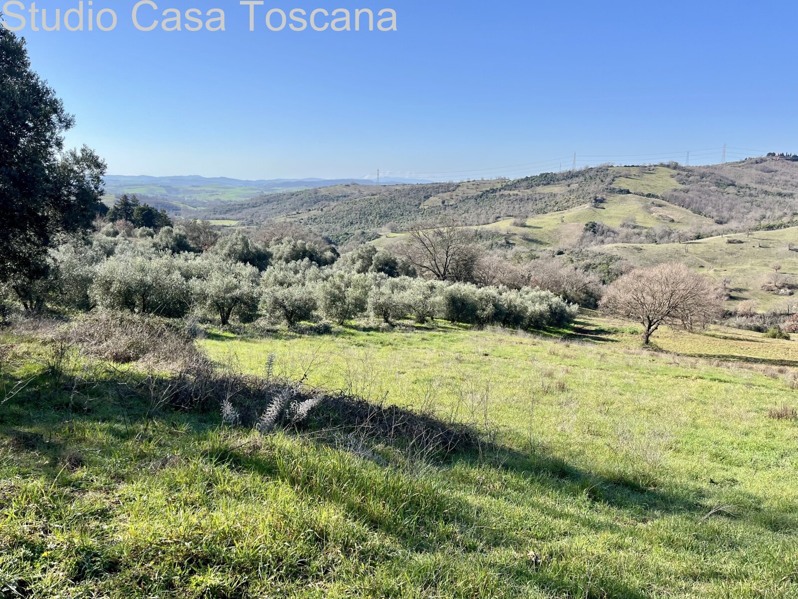 Grande azienda agricola in mezzo alla natura incontaminata 