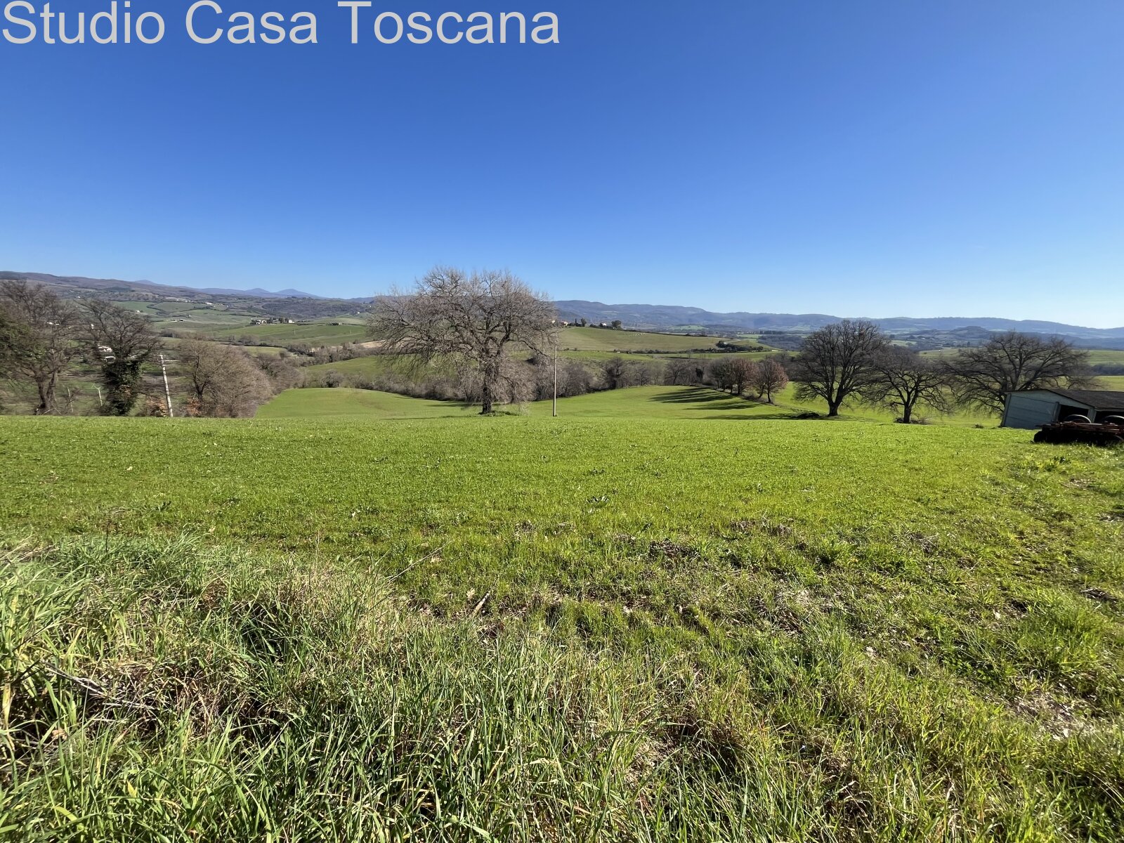 Grande azienda agricola in mezzo alla natura incontaminata 