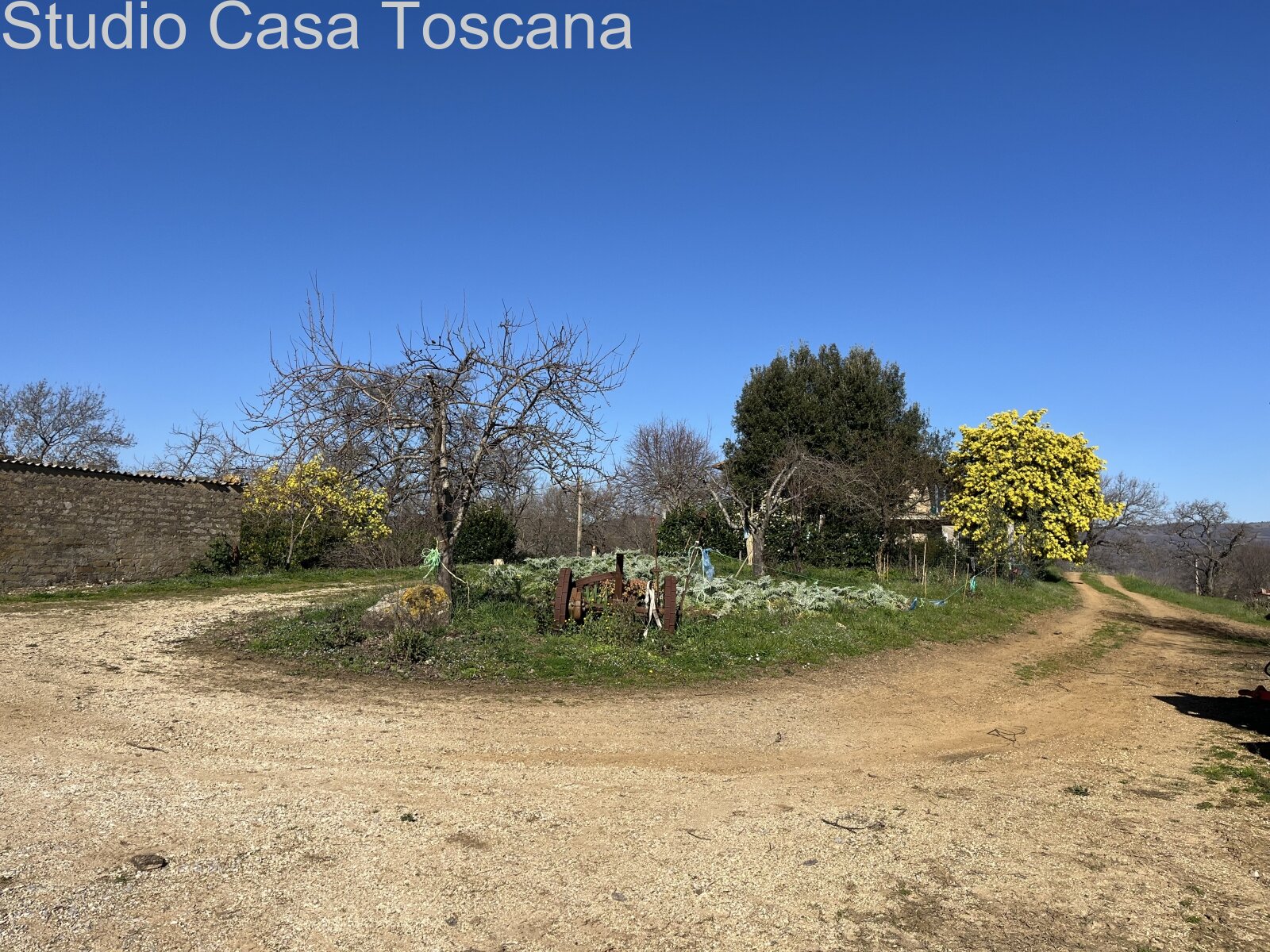 Grande azienda agricola in mezzo alla natura incontaminata 