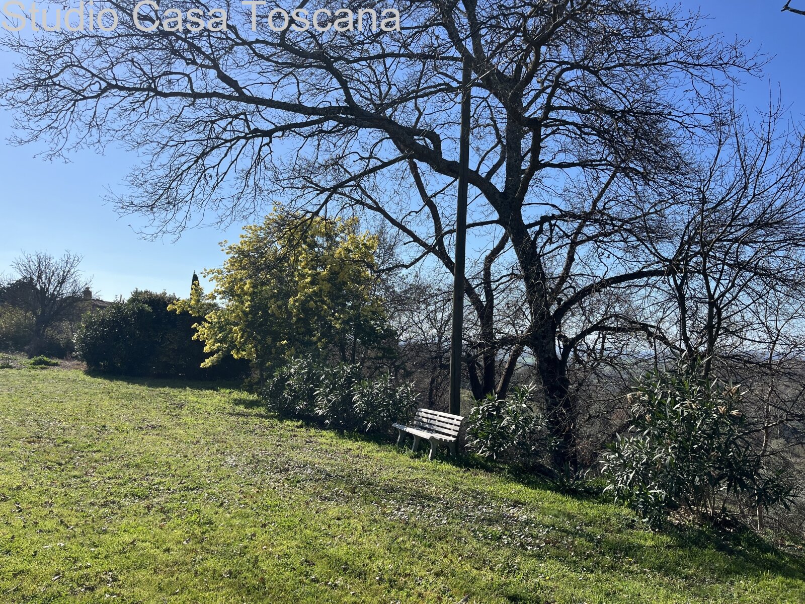 Grande azienda agricola in mezzo alla natura incontaminata 