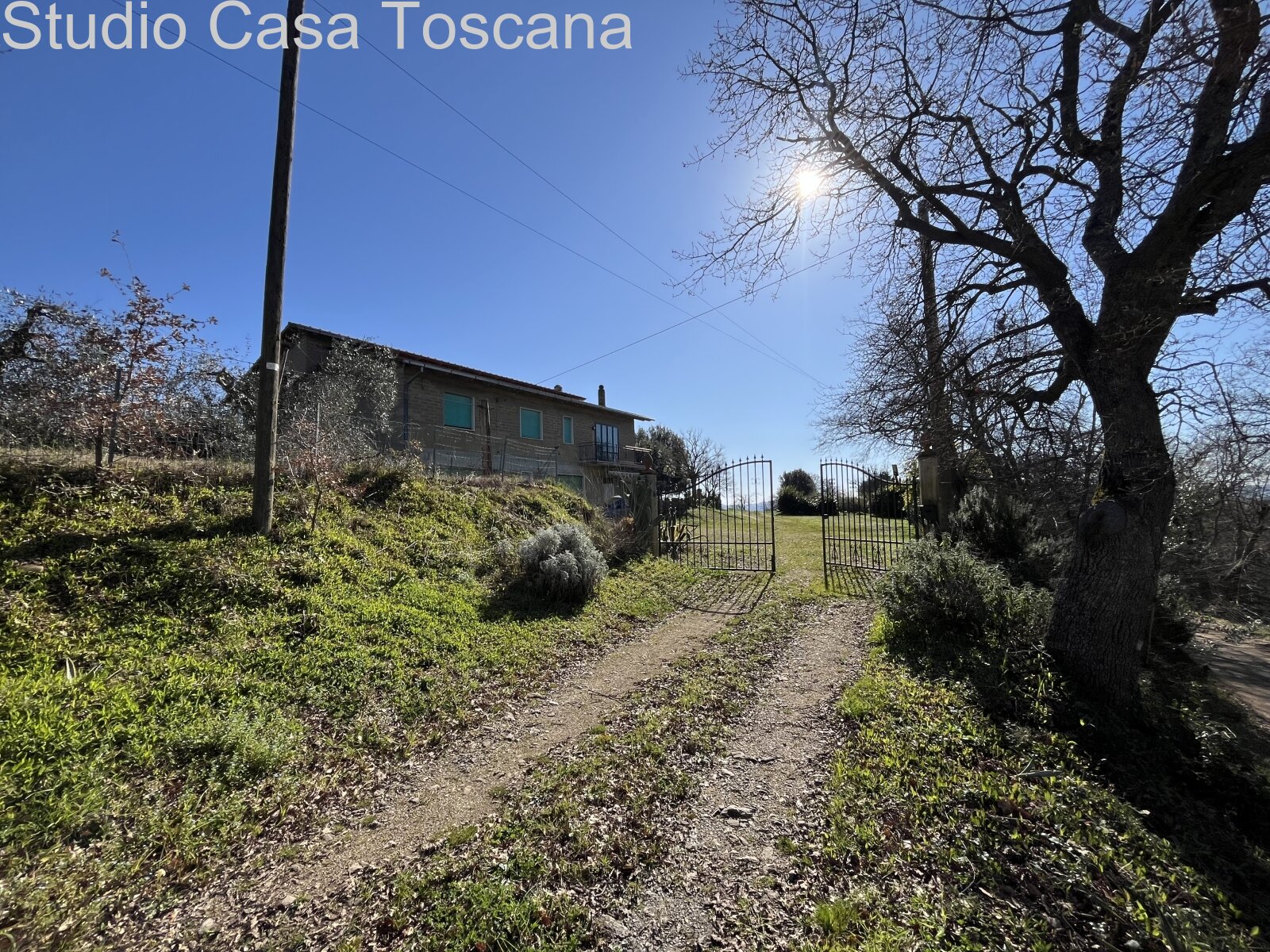 Grande azienda agricola in mezzo alla natura incontaminata 