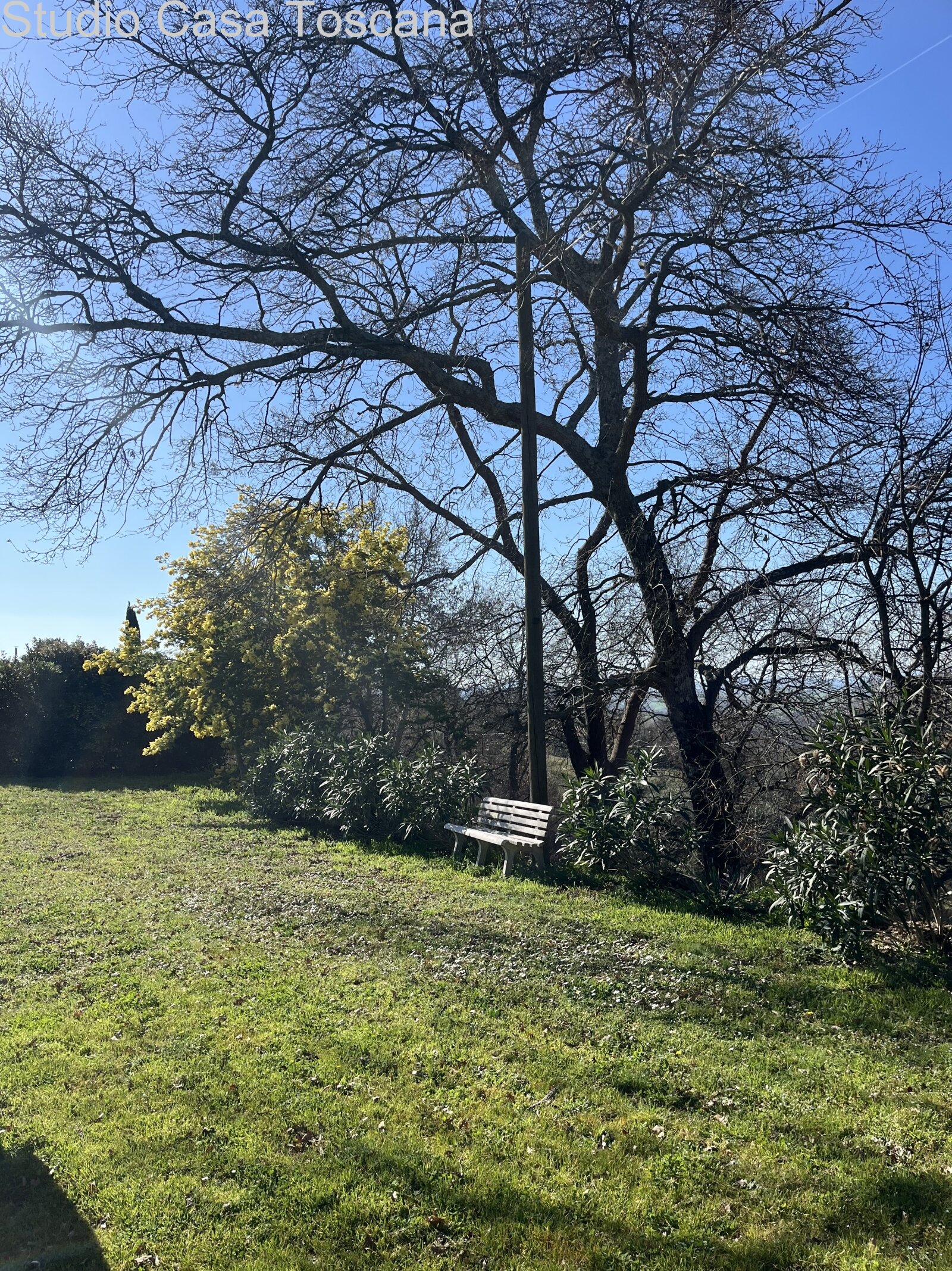 Grande azienda agricola in mezzo alla natura incontaminata 