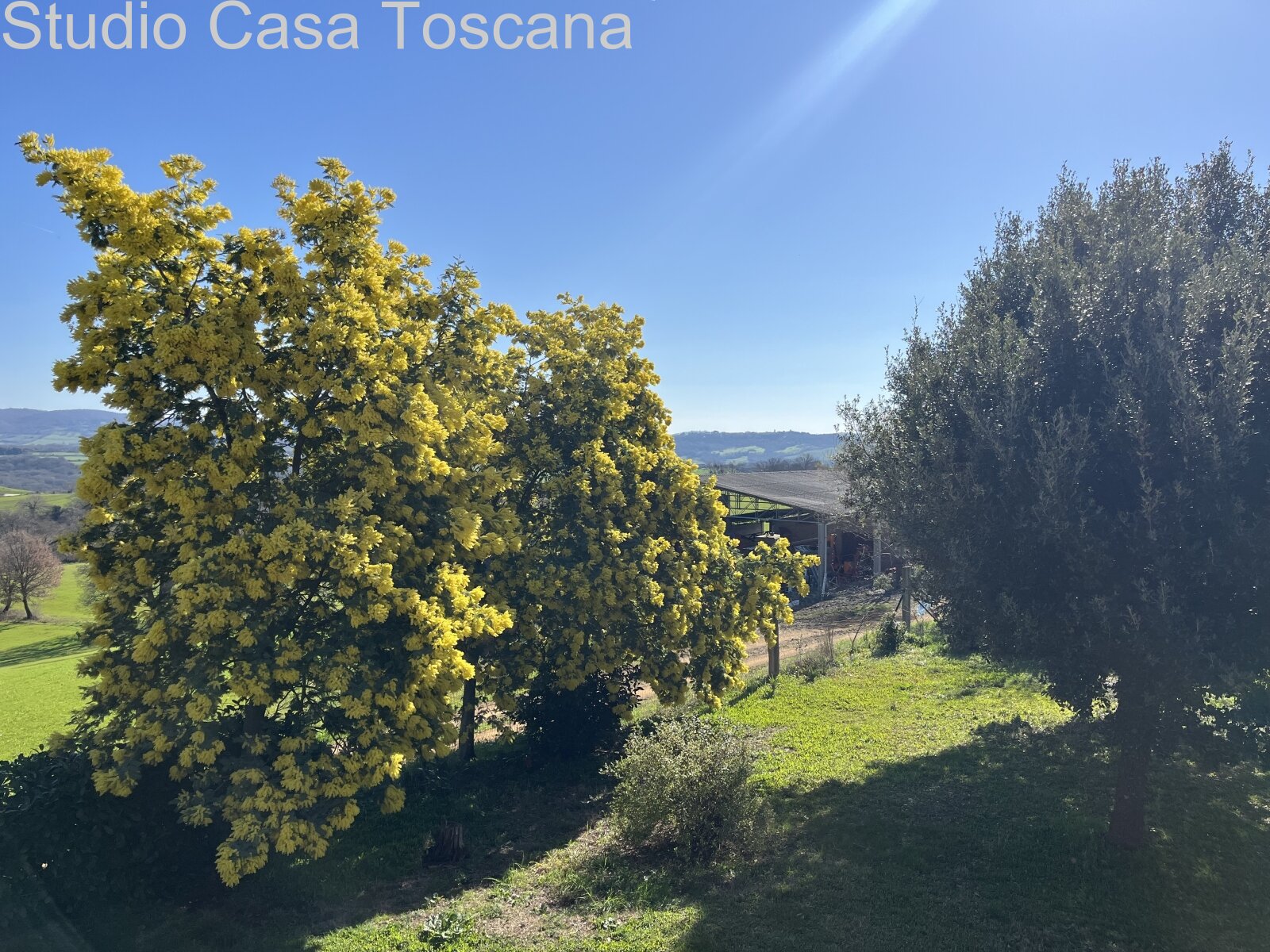 Grande azienda agricola in mezzo alla natura incontaminata 