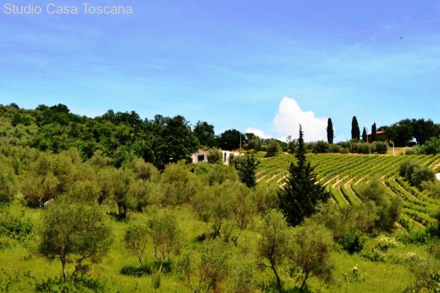 cantina e casale in lontananzza