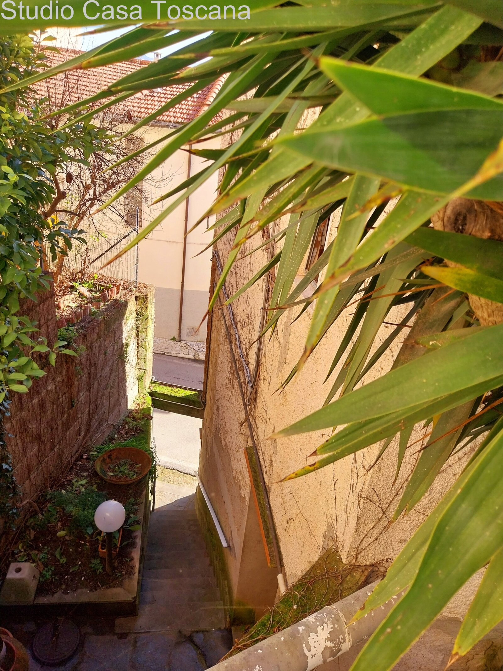 Großzügiges Wohnhaus mit Garten, Dachterrasse und fünf Garagen