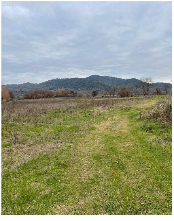 Caldana: Land und Nutzgebäude in der Gemeinde Gavorrano 18 km vom Meer 