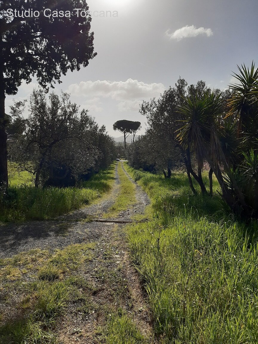 secondo viale d'accesso