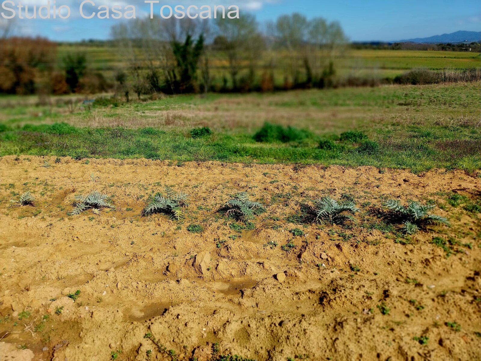 Land und Nutzgebäude in der Gemeinde Gavorrano 18 km vom Meer