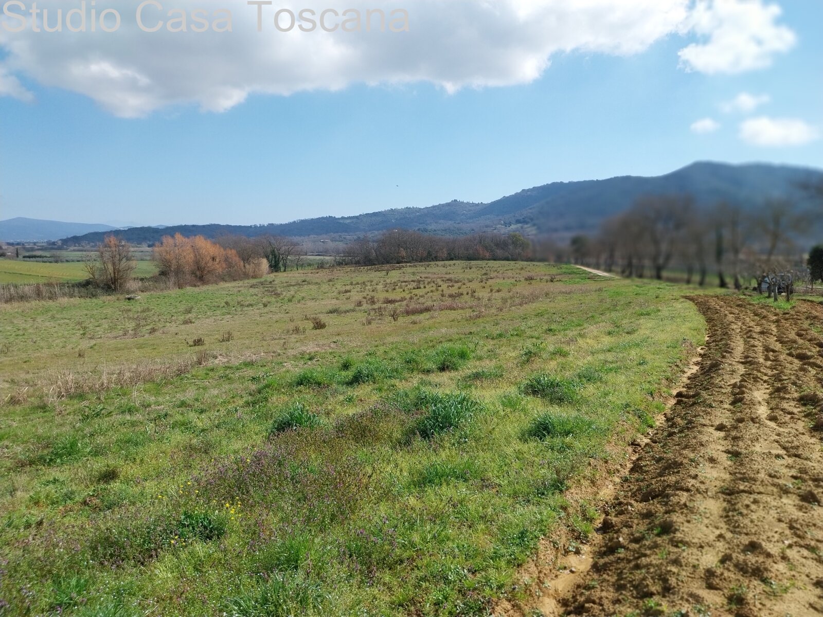 Land und Nutzgebäude in der Gemeinde Gavorrano 18 km vom Meer
